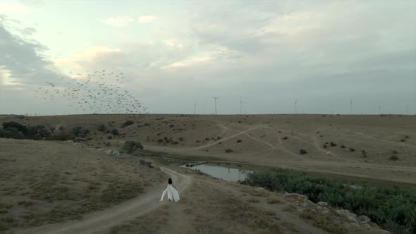 Bride Walk Over Flock of Starlings Flying in Morning Sunrise Near Windmill Far Windmill Generator