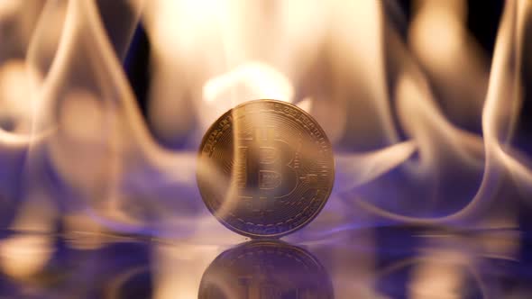 On a Black Background a Flame Ignites and Illuminates a Gold Bitcoin Coin in Close Up