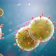 Paramyxovirus Mumps  COVID Pandemic Closeup of Virus Under Microscope - VideoHive Item for Sale