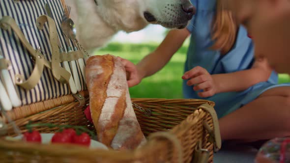 Unrecognizable Hands Take Out Food Picnic Basket Closeup