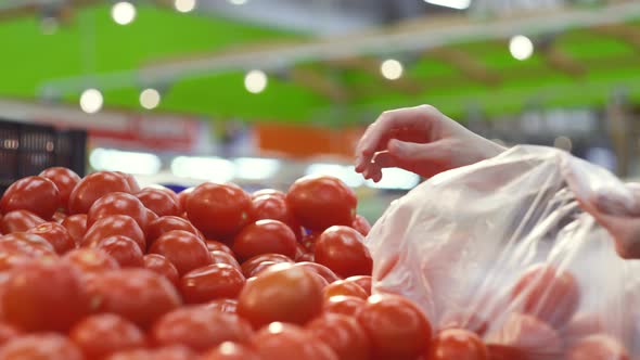 Women's Hands Choose Fresh Juicy Tomatoes in the Supermarket