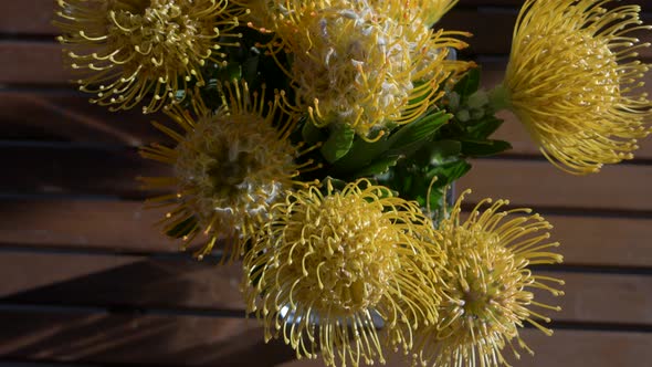 TOP DOWN View Of Yellow Pincushion Protea Bunch In A Vase