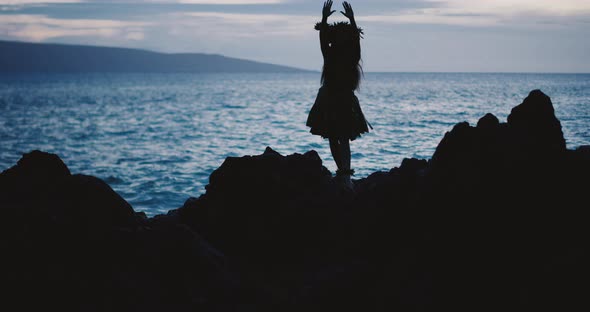 Silhouette of a traditional Hawaiian hula dancer alt