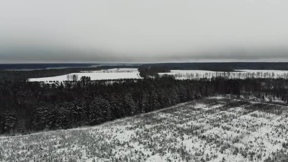 Flying over the tree nursery.