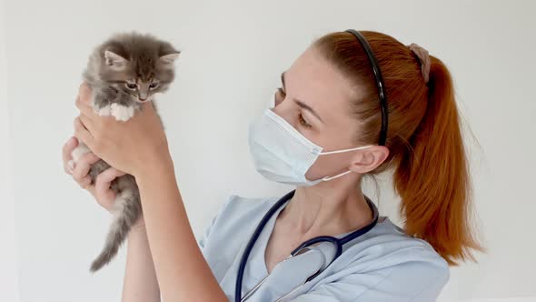 Girl Veterinarian Holds in the Hands of a Little Kitten