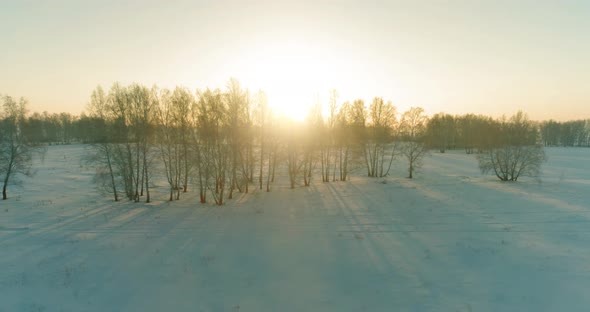 Aerial Drone View of Cold Winter Landscape with Arctic Field Trees Covered with Frost Snow and