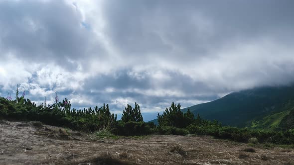 Timelapse of Moving Low Clouds in the Carpathian Mountains. Cumulus Dramatic Sky