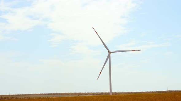 Blades of Wind Turbines Rotate Generating Energy From the Wind