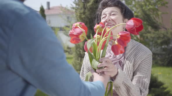 Grandson Visiting His Grandmother Bringing Her Bouquet of Tulips