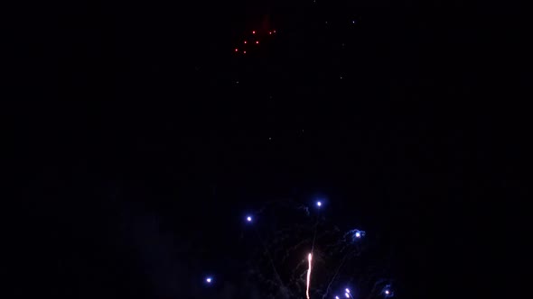 Colorful Firework display at night on sky background