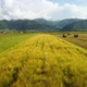 Aerial Wheat - VideoHive Item for Sale