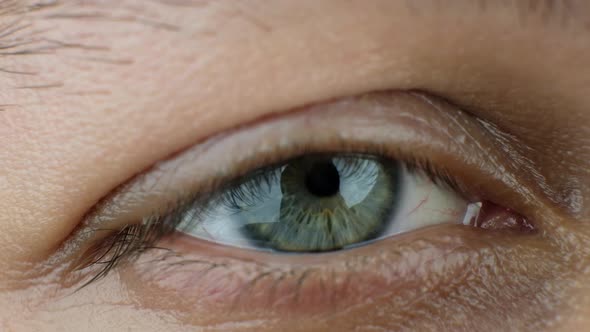 Female Blinking Eye Closeup Bluegray Eye Macro