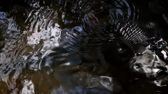 A beautiful wave of water and light created by the water strider