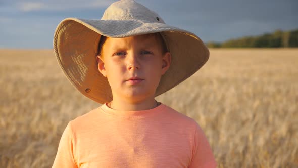 Portrait of Small Boy with Freckles Standing Against the Blurred Background of Wheat Field. Little