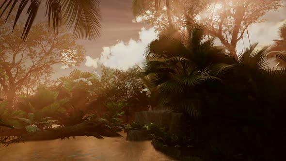 Sunset Beams Through Palm Trees alt