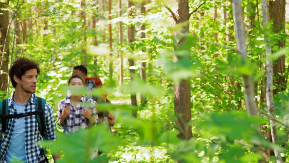 Group of Friends with Backpacks Hiking in Forest