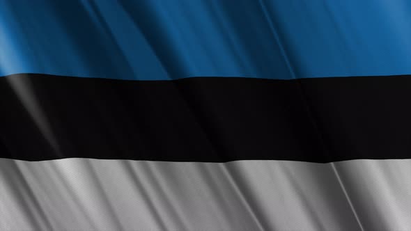 Estonia Flag