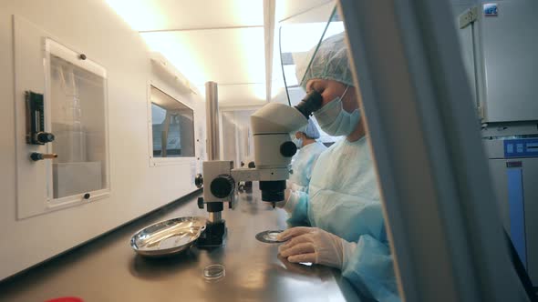 Female Worker Is Operating a Microscope in the Laboratory