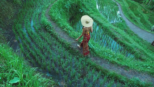 Traveling on the Bali island