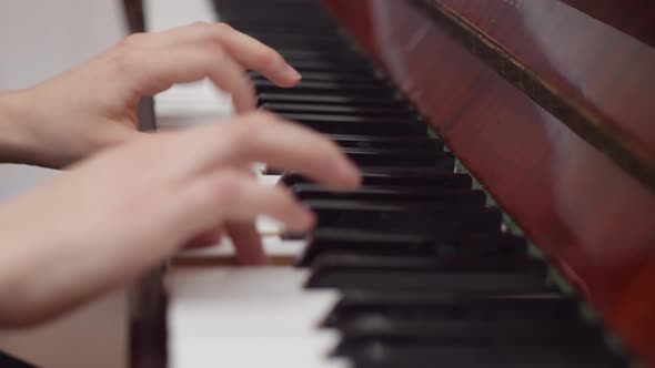 Musician Woman Playing Piano Keys with Hands