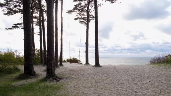 Swings At Seaside