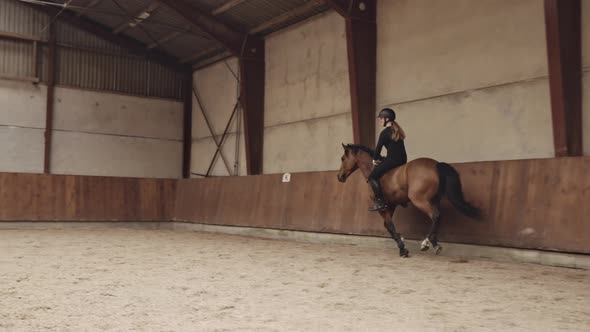 Woman Riding Bareback On Horse Around Paddock