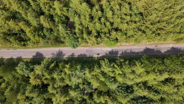 aerial top view of an asphalt road with a cyclist going through a huge pine forest on a sunny day