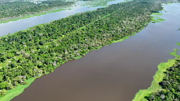 Stunning landscape of Amazon Forest at Amazonas State Brazil.