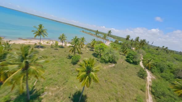 Playa Nueva Romana tropical beach, San Pedro de Macoris in Dominican Republic. Aerial drone fpv