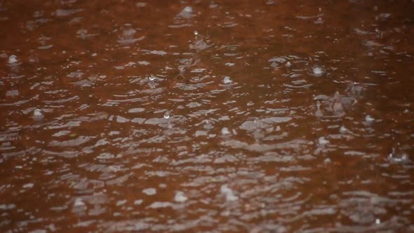 Rain Falling On The Road alt