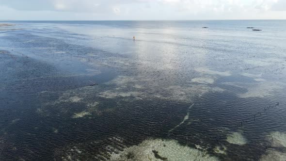 Zanzibar Tanzania  Low Tide in the Ocean Near the Shore