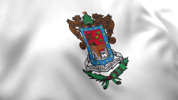 Michoacan Flag (Mexico)