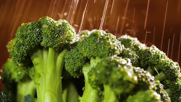 Broccoli With Drops of Water, Beautiful Video, Raw Organic Food , Organic Harvest in Garden, Farming