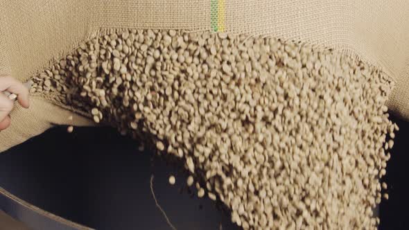 Worker cutting a burlap bag with green coffee beans - slow motion