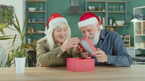 Happy Elderly Couple in Santa Claus Hats Celebrating Christmas Online