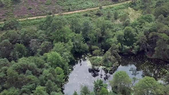 Aerial, flying over a hidden forest pond, STATIC CROP