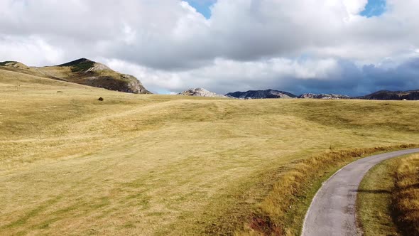 The Beauty of Nature on Mountain Meadows