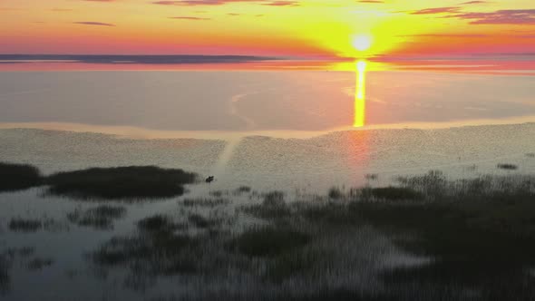 Aerial View of Weedy Lake at Sunrise