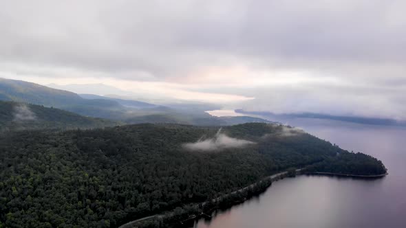 Birds eye view of the coastline forest of Maine USA