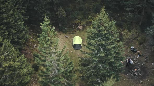 Tent Pavilion at Pine Forest Closeup Aerial