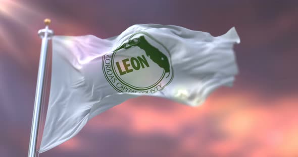 Leon County Flag, United States