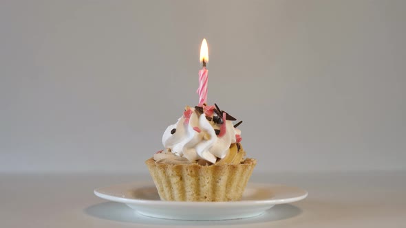 Birthday Cupcake with Lit Candle