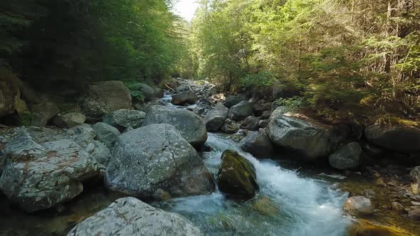 Flight Over a Mountain River