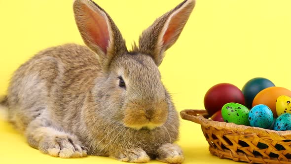 Little Brown Fluffy Bunny Sitting on a Pastel Yellow Background with a Wooden Basket Full of Ornate