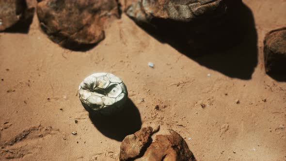 Old Football Ball on the Sand Beach alt