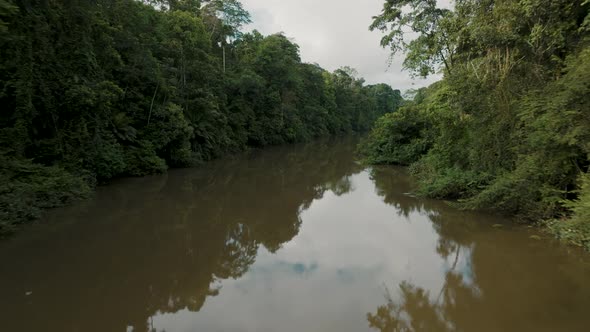 Drone flight over river in complete rainforest wilderness, Amazon
