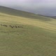 Drone Shot of a Herd of Horses Grazing in a Meadow in the Mountains - VideoHive Item for Sale