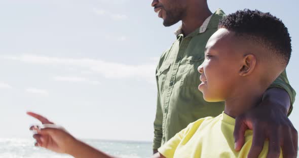 Smiling african american father with son embracing on sunny beach