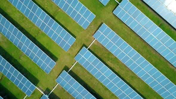 Aerial Top Down View of Solar Panels Farm (Solar Cell) with Sunlight alt