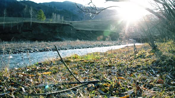 Dolly Slider Shot of the Splashing Water in a Mountain River Near Forest. Wet Rocks and Sun Rays